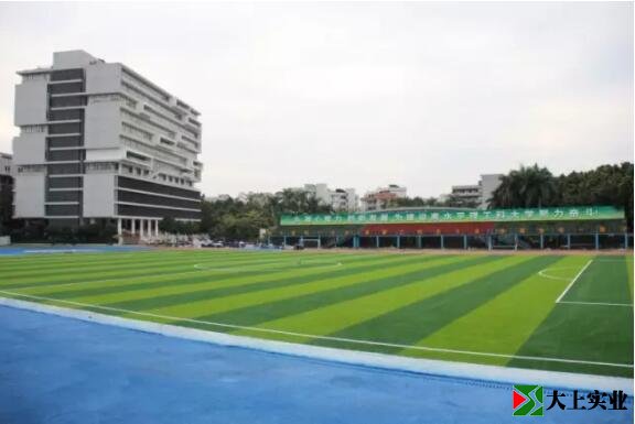 藍(lán)色塑膠跑道與綠色足球場