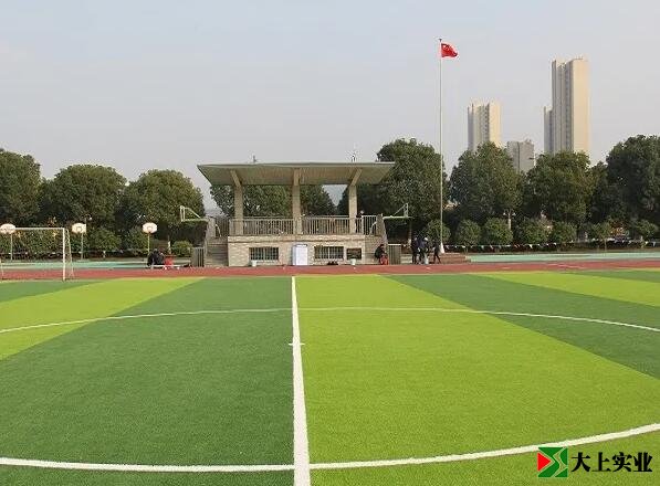 人造草足球場(chǎng)
