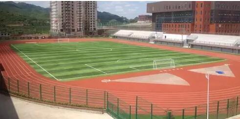 圖1.足球場(chǎng)全貌