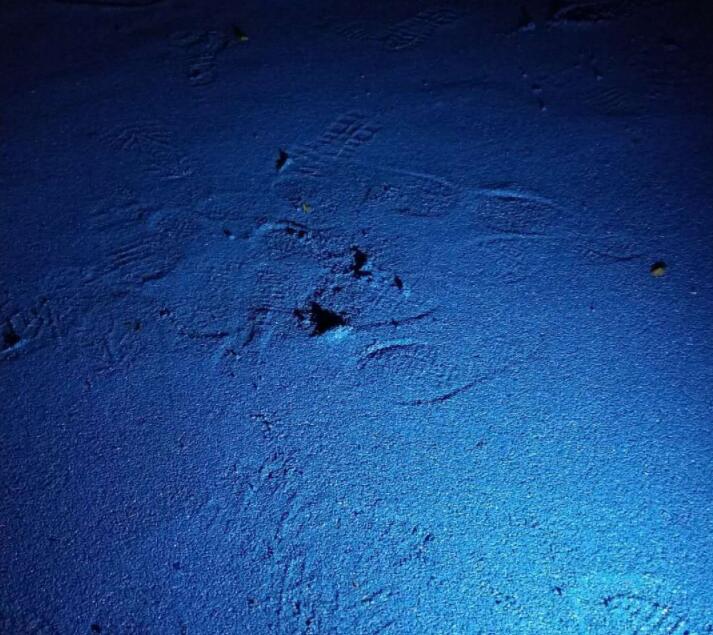 可惡!公園的塑膠跑道施工遭遇不文明行為人